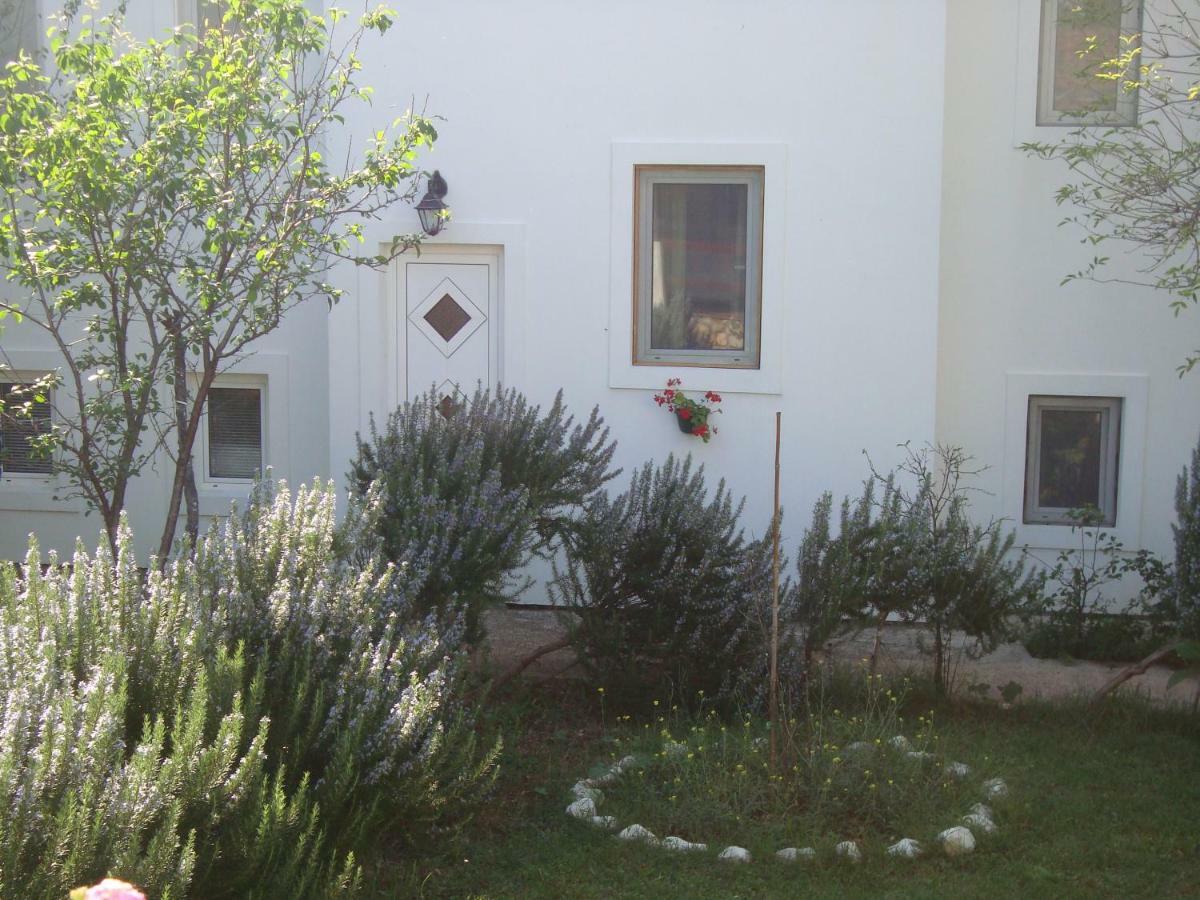 Apartments Lovor Silba Exterior photo